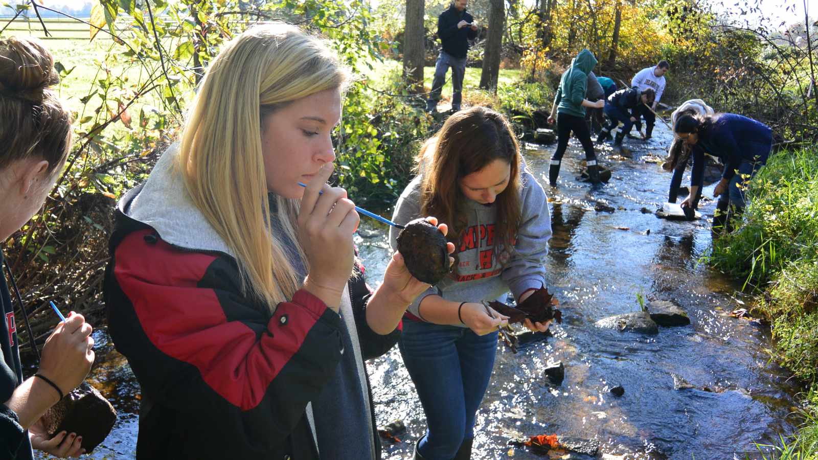 High school students engaged in a stream study.